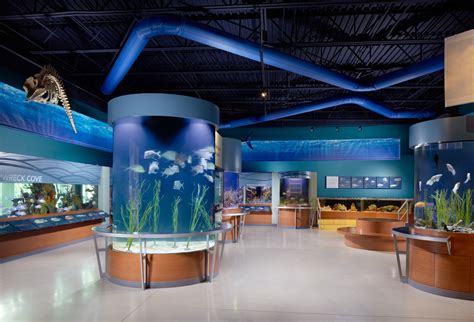 South Florida Science Center And Aquarium Science Center Public