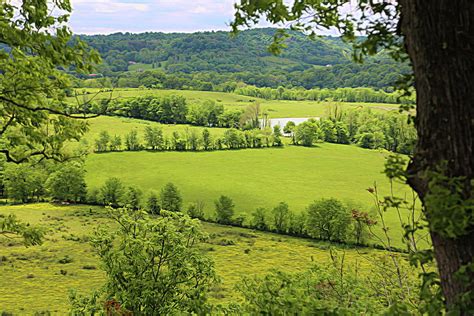 Mississippi Landscape