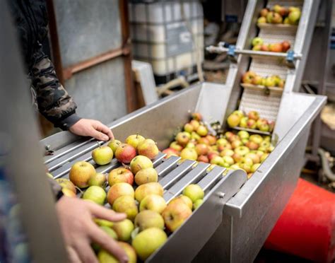 Pommes Pressage A Fa On Pour Particuliers Et Professionnels Hainaut