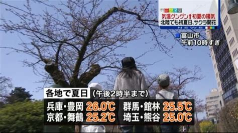 全国的に初夏の陽気 桜前線は北陸まで北上（2015年3月31日掲載）｜日テレnews Nnn