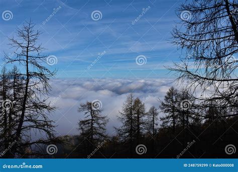 Low level stratus clouds stock image. Image of environment - 248759299