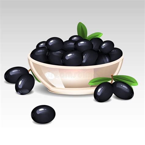 Aceitunas Negras En Una Rama Que Gotea El Aceite De Oliva Ilustración