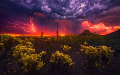 lightning, Storm, Rain, Clouds, Sky, Nature, Thunderstorm Wallpapers HD / Desktop and Mobile ...