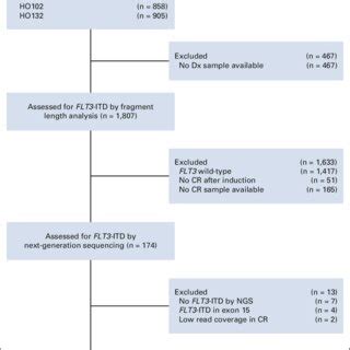 Flow Diagram Of The FLT3 ITD MRD Study AML Acute Myeloid Leukemia