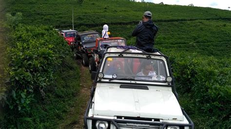 Serunya Offroad Di Kebun Teh Kemuning Karanganyar Naik Jip Wisata