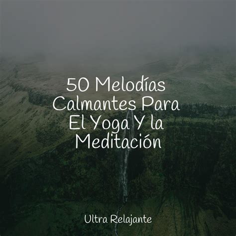 Melod As Calmantes Para El Yoga Y La Meditaci N Album By Academia