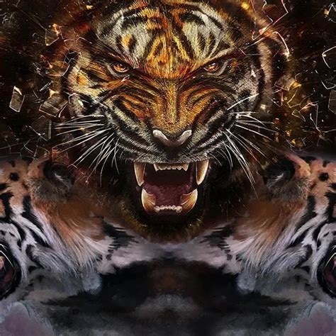 tiger wallpaper  wallpaper mural tiger standing   stone photo