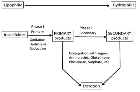 Biochemical Insecticide Resistance In Tea Pests Intechopen