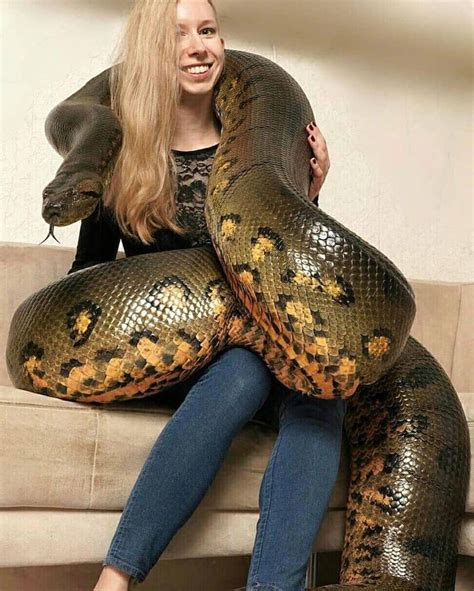 A Woman Sitting On Top Of A Couch With A Large Snake Wrapped Around Her