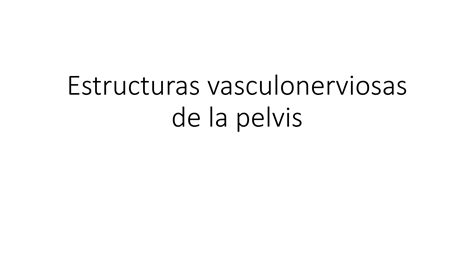 Estructuras Vasculonerviosas De La Pelvis Anatom A Ppt