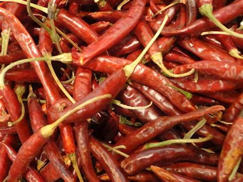 Chili Pepper 101 Chile De Arbol Spicy Food Reviews And Recipes