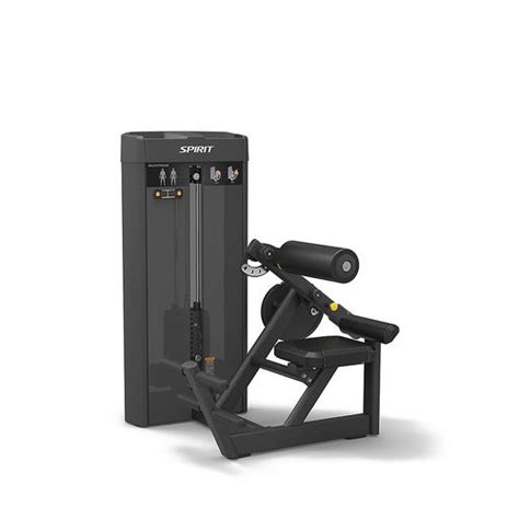 Station De Musculation Extension Du Dos Sp Spirit Fitness