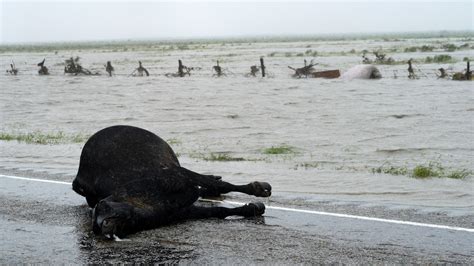 Las Catastróficas Inundaciones De Texas En Imágenes