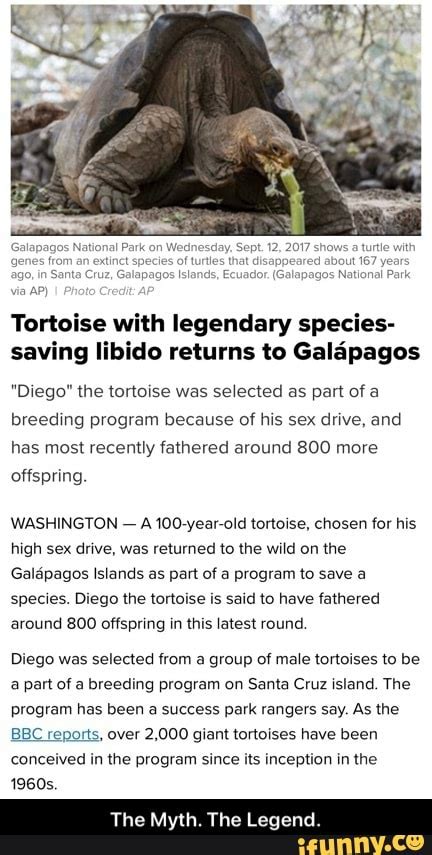 Tortoise With Legendary Species Saving Libido Returns To Galapagos