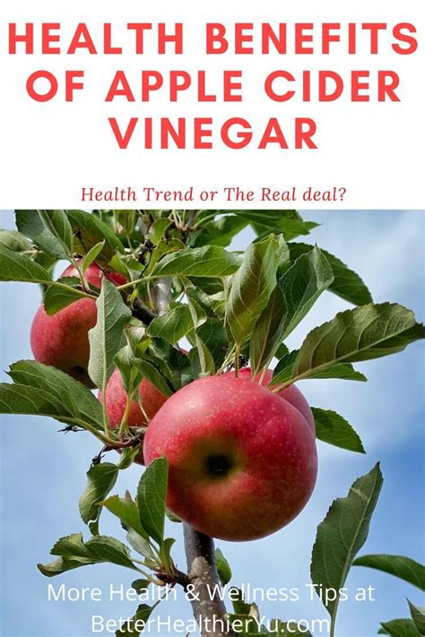 Health Benefits Of Apple Cider Vinegar