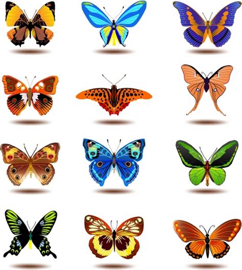 Butterflies Vectors images graphic art designs in editable .ai .eps .svg .cdr format free and ...