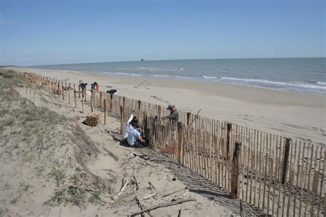 Dune Construction And Strengthening AdriAdapt