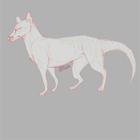 Tasmanian tiger, digital sketch by me : r/sketches