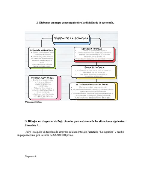 Division De La Economia Elaborar Un Mapa Conceptual Sobre La División