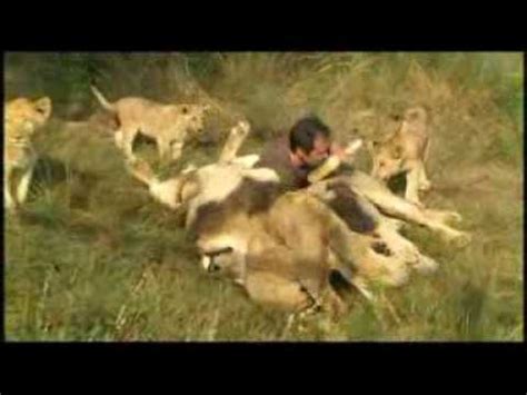 Lion Whisperer - YouTube