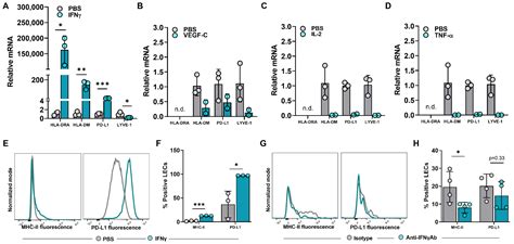 Ijms Free Full Text Tumor Associated Lymphatics Upregulate Mhc Ii