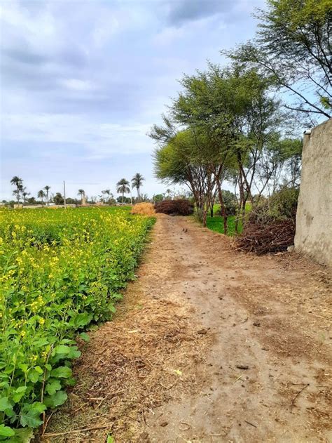 Beautiful View Of Pakistan Village Village Photography Beautiful