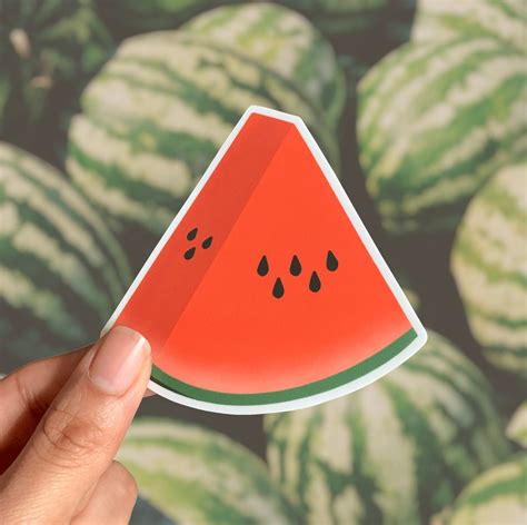 Watermelon Stickers Fruit Stickers Food Stickers Summer Etsy