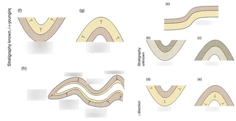 Syncline/ Anticline Diagram | Quizlet