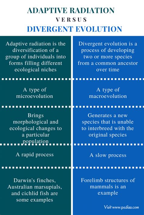 Difference Between Adaptive Radiation And Divergent Evolution