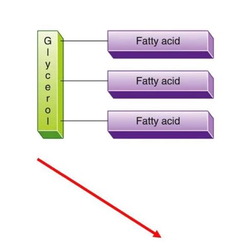 Solved BIOCHEMISTRY Chegg