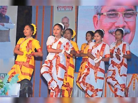 traditional folk art  chhattisgarh  celebrated  rajyotsav