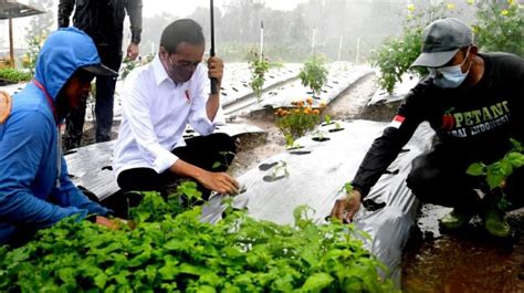 Berdialog Dengan Presiden Jokowi Ini Deretan Keluh Kesah Petani Di