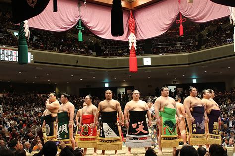 A Day in the Life of a Sumo Wrestler | Virtual Culture | Kids Web Japan ...