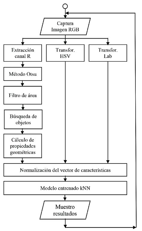 Flujograma De La Aplicación Desarrolla Para La Inspección Automática De