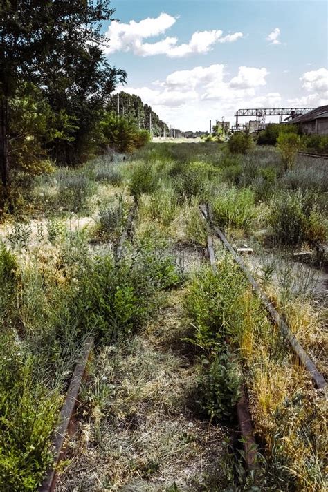 Old Overgrown Railway Stock Photo Image Of Rusty Line