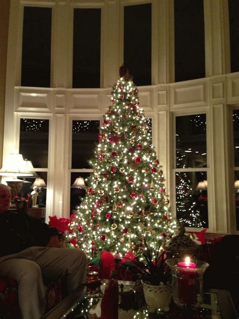 Beautiful Twinkling Lights Christmas Tree Pictures, Photos, and Images for Facebook, Tumblr ...