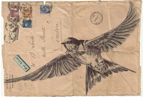 Birds Illustrated On Vintage Envelopes By Mark Powell Colossal