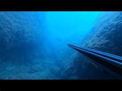 Pesca Apnea Alba Agosto Castiglioncello Pesca Ladispoli