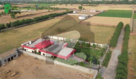 Barki Road Paradise Farms Kanal Farm House Land For Sale Barki Road