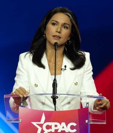 Former Us Representative Tulsi Gabbard Democrat Editorial Stock Photo ...