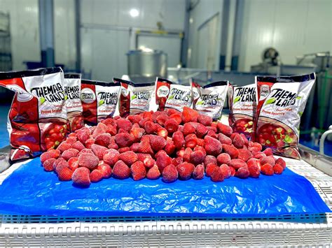 Themar Land Export food | Ismailia