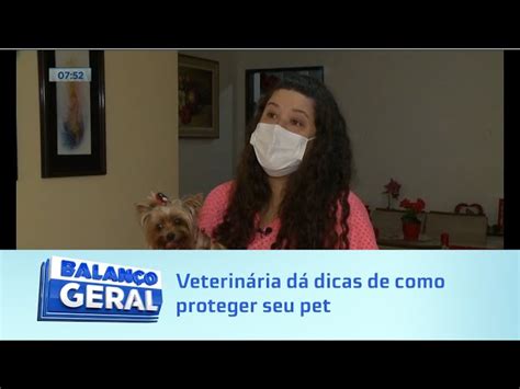 Veterinária dá dicas de como proteger seu pet do barulho de fogos e