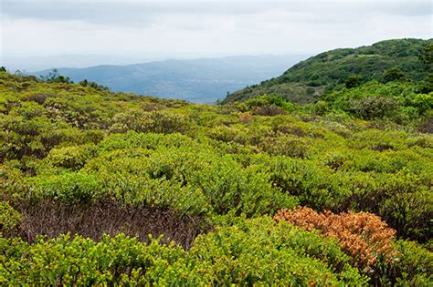 Parque Estadual Das Sete Passagens Turismo