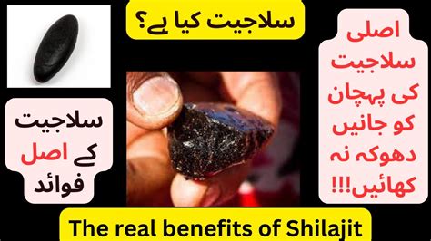 Shilajit Kya Hai What Is Shilajit Shilajeet Kay Faide Identity Of