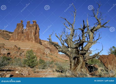 Rugged outdoors stock image. Image of park, nature, utah - 230529