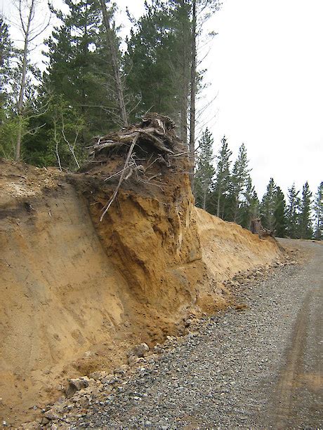 510 Stabilising Cut And Fill Slopes During Construction • Nz Forest