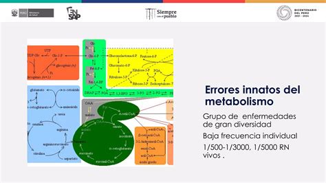 Errores Innatos Del Metabolismo PPT