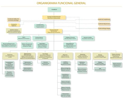 Organigrama Funcional Plantilla