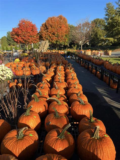 Garden Center Cherry Hill Orchards