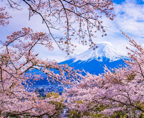 Discovering Japan Through its Finest Landscapes | Blog | Travel Japan ...